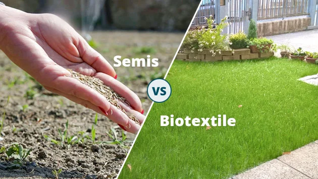 Comment choisir entre un gazon naturel en semis et du biotextile ?