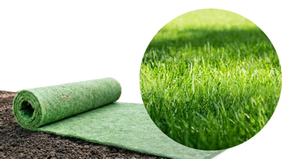 Rouleau de gazon naturel en biotextile pré-semé