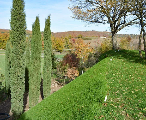 Illustration de pousse de gazon naturel sur pente avec Facil'Gazon